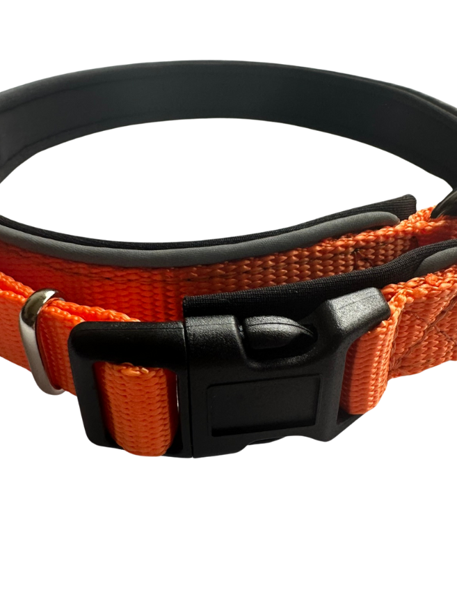 Neoprene collar - Game Gear NZ