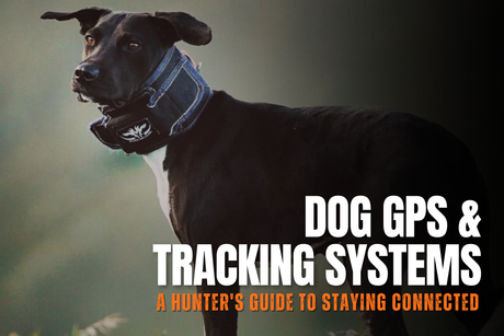Dog GPS and Tracking Systems: A Hunter's Guide to Staying Connected
