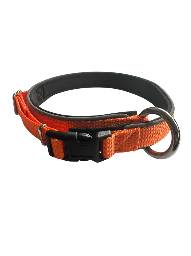 Neoprene collar - Game Gear NZ