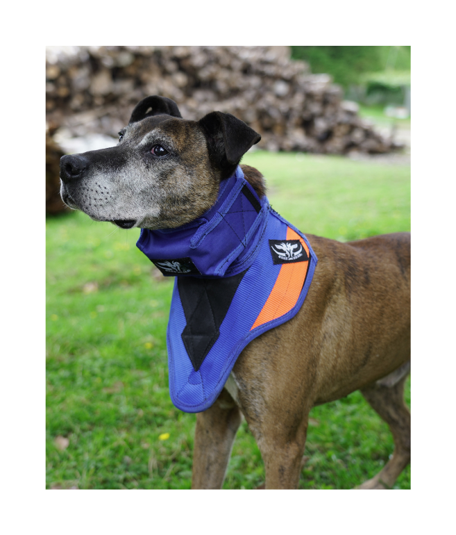 Strike Vest with Revolution - Game Gear NZ