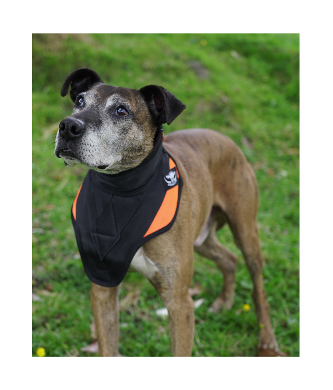 Strike Vest - Game Gear NZ