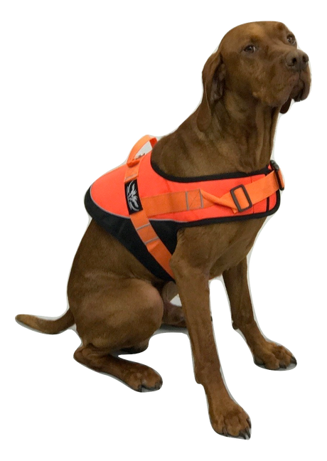 Hunting Dog Orange Hi Viz Safety Jacket/Vest with reflective piping